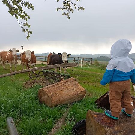 Ferienwohnung Im Muehlviertler Panorama Vierseithof Lembach im Muhlkreis ภายนอก รูปภาพ