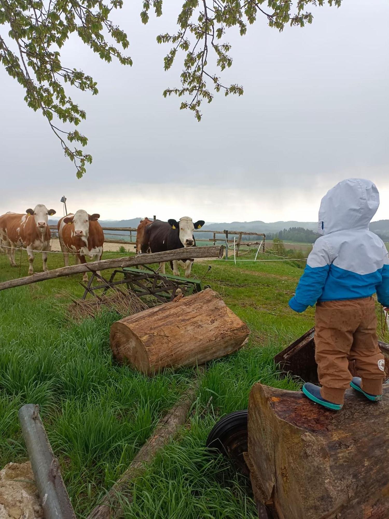Ferienwohnung Im Muehlviertler Panorama Vierseithof Lembach im Muhlkreis ภายนอก รูปภาพ
