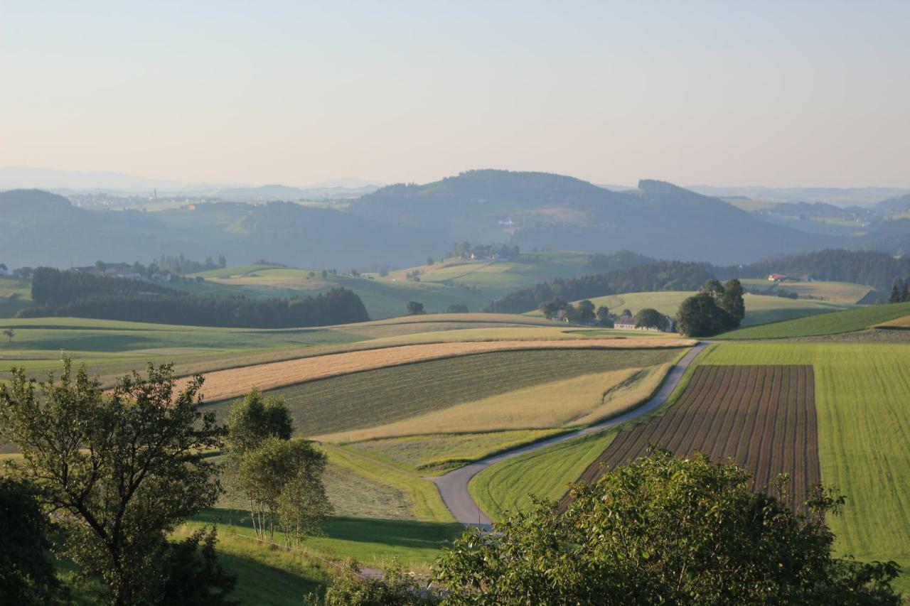 Ferienwohnung Im Muehlviertler Panorama Vierseithof Lembach im Muhlkreis ภายนอก รูปภาพ