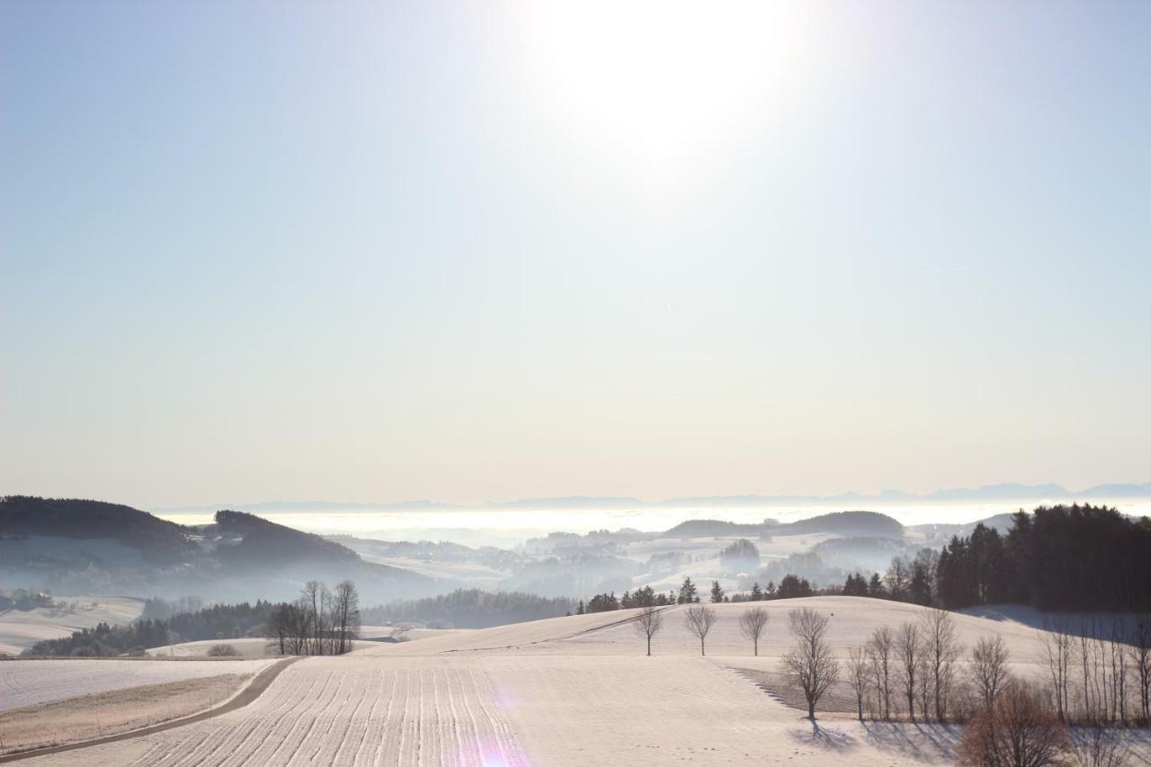 Ferienwohnung Im Muehlviertler Panorama Vierseithof Lembach im Muhlkreis ภายนอก รูปภาพ