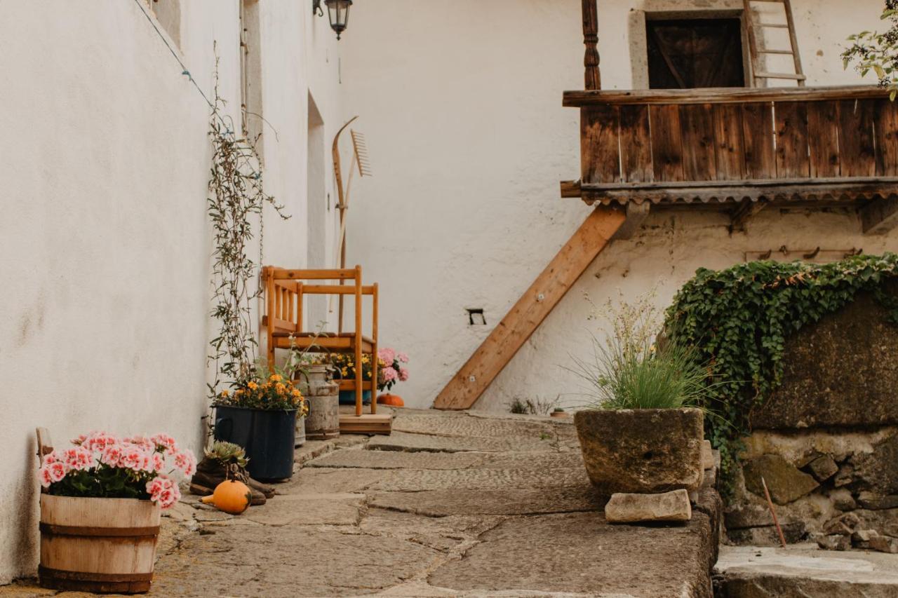 Ferienwohnung Im Muehlviertler Panorama Vierseithof Lembach im Muhlkreis ภายนอก รูปภาพ