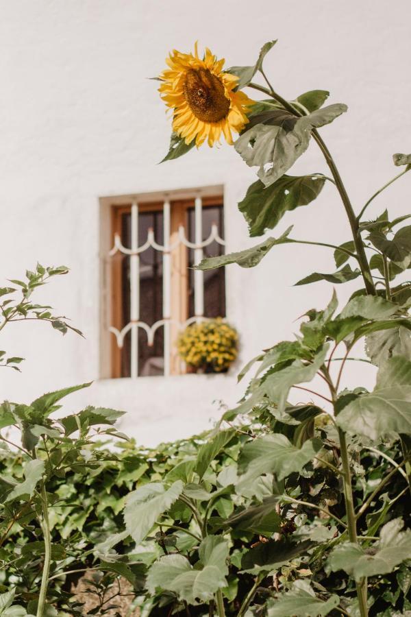 Ferienwohnung Im Muehlviertler Panorama Vierseithof Lembach im Muhlkreis ภายนอก รูปภาพ